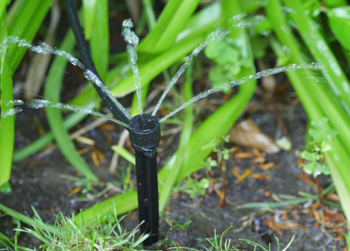 W8006410172_5_strahl_180_aktion MULTI-S Strahl-Emitter mit Erdspieß, einstellbar